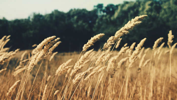 短信在线轰炸测试